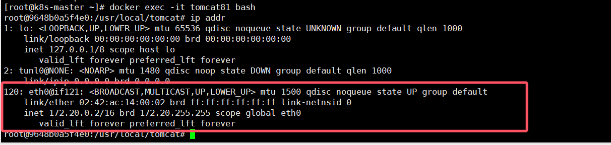 zhangshifu_network_81