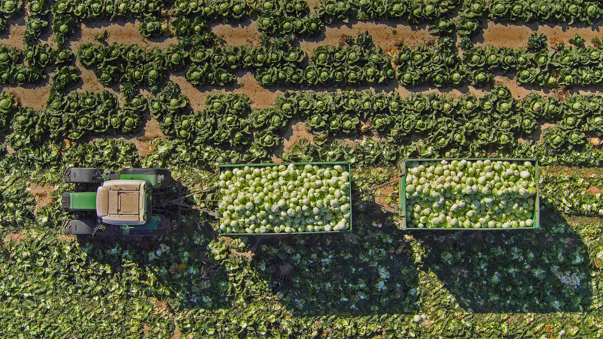 Ceph Quincy版本在线安装实战：打造Kubernetes高性能存储集群